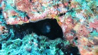 img_0006.jpg